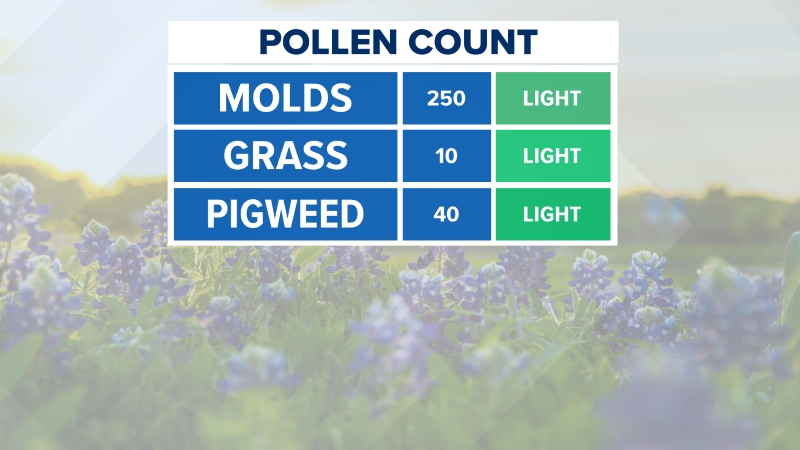 Today's Pollen Count